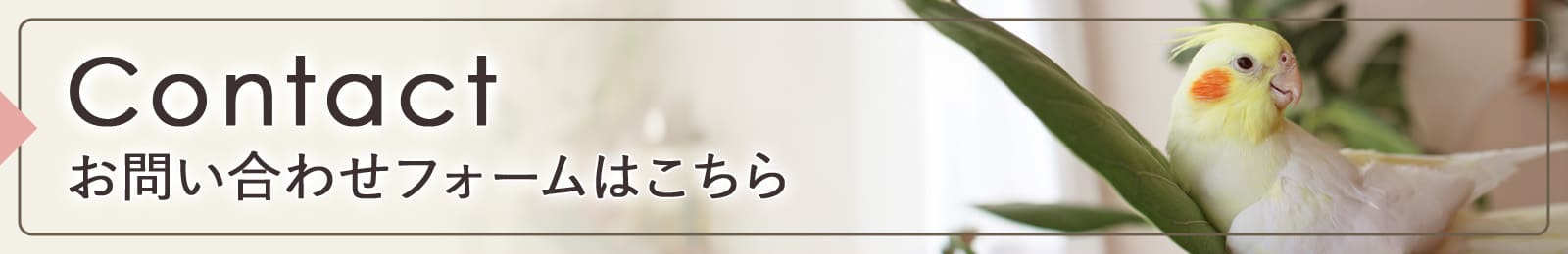 お問い合わせフォームはこちら